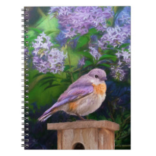 Cuaderno Pájaro azul oriental en nieve - Fotografía origina