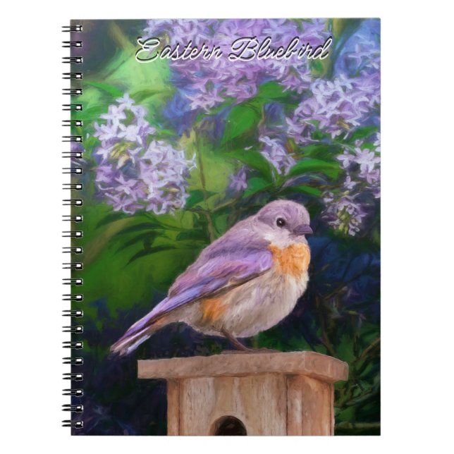 Cuaderno Pájaro azul oriental en nieve - Fotografía origina (Frente)