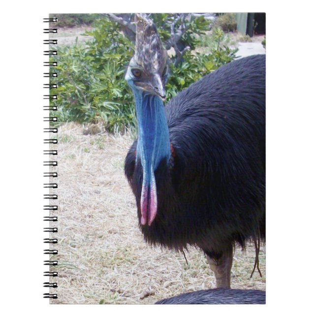 Cuaderno Pájaro Cassowary azul grande, (Frente)