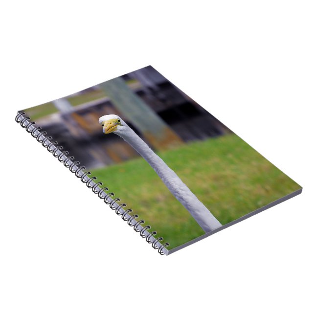 Cuaderno Pájaro con cuello largo (Lado Derecho)