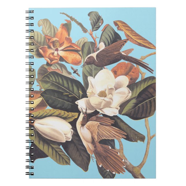 Cuaderno Pájaro cucú negro (Frente)