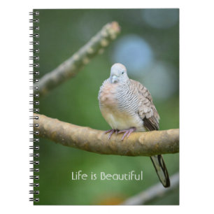 Cuaderno Pájaro de árbol Kauai (mi fotografía)
