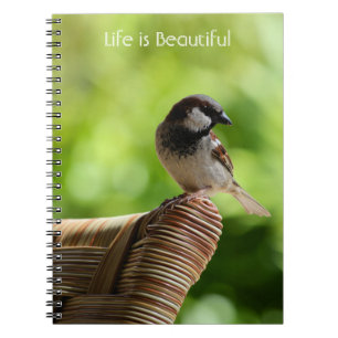 Cuaderno Pájaro de Kauai Hawái (mi fotografía)