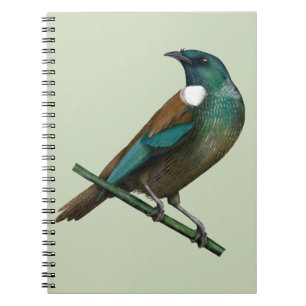 Cuaderno Pájaro de Nueva Zelanda