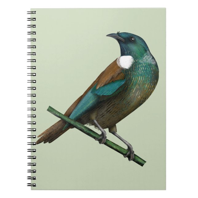 Cuaderno Pájaro de Nueva Zelanda (Frente)