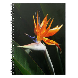 Cuaderno Pájaro del Naranja del paraíso Flor tropical
