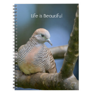 Cuaderno Pájaro en árbol Kauai (mi fotografía)