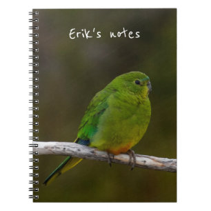 Cuaderno Pájaro loro con vientre naranja Australia