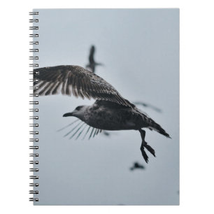 CUADERNO PÁJARO NEGRO Y BLANCO