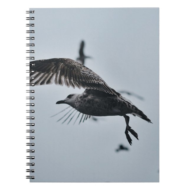 CUADERNO PÁJARO NEGRO Y BLANCO (Frente)