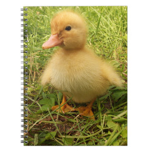 Cuaderno pájaro, pato, pato, amarillo, naturaleza, lindo, b