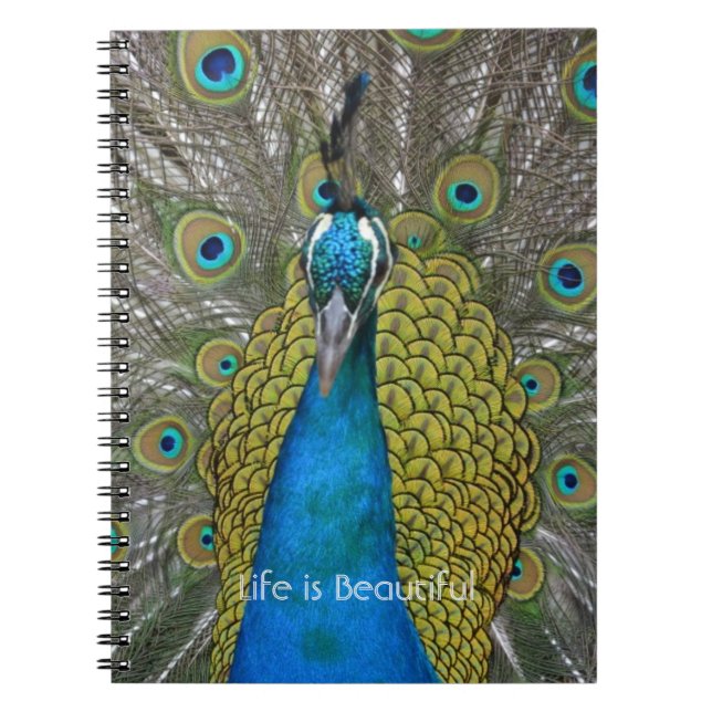 Cuaderno Pájaro pavo real Kauai (mi fotografía) (Frente)