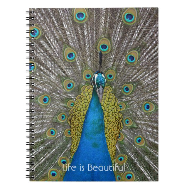 Cuaderno Pájaro pavo real Kauai (mi fotografía) (Frente)