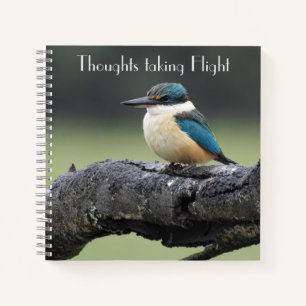 Cuaderno Pájaro pequeño de Kookaburra
