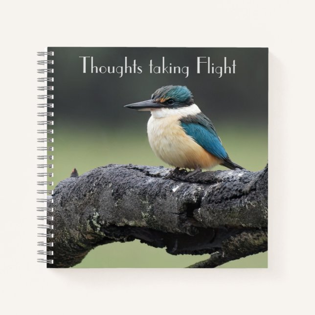 Cuaderno Pájaro pequeño de Kookaburra (Anverso)