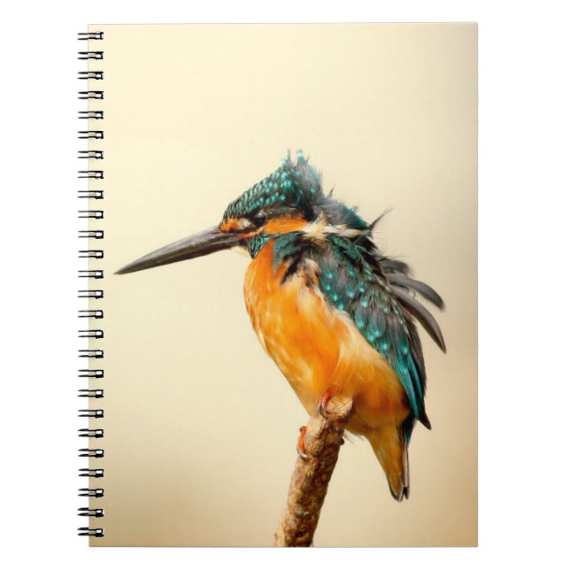 Cuaderno Pájaro Perdido (Frente)