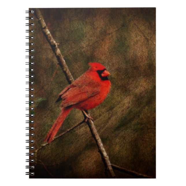 Cuaderno Pájaro rojo (Frente)