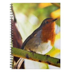 Cuaderno Pájaro rojo del pecho del petirrojo