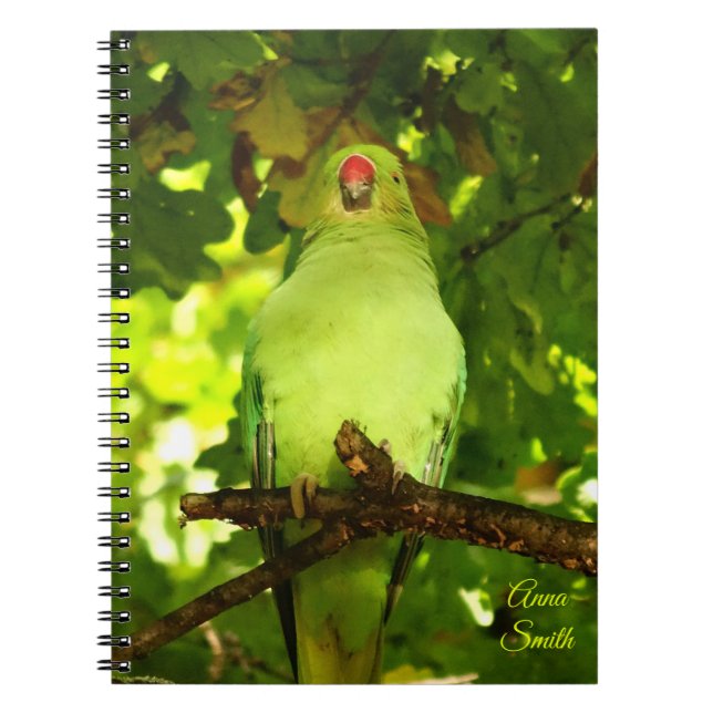 Cuaderno Pájaro verde (Frente)