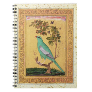 Cuaderno Pájaro verde, Mughal (aguazo en el papel)