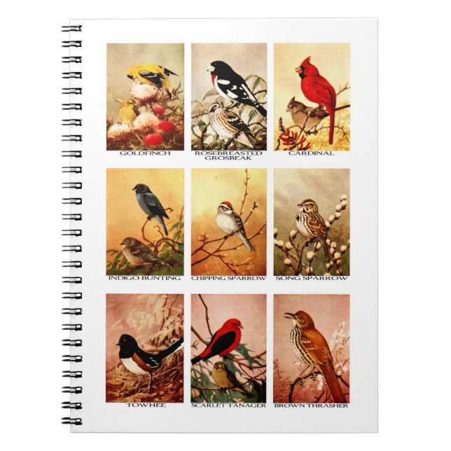 Cuaderno Pájaros (Frente)