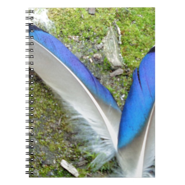 Cuaderno Pájaros azules de pato blanco, animal, pájaro (Frente)