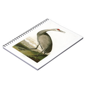 Cuaderno Pájaros de John James Audubon de la grúa de