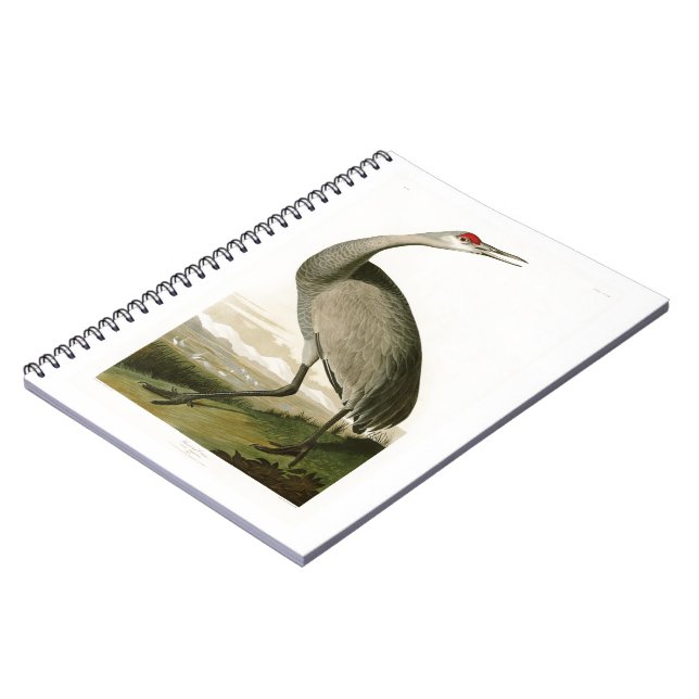 Cuaderno Pájaros de John James Audubon de la grúa de (Lado Izquierdo)