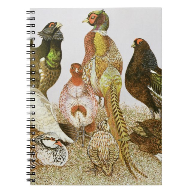 Cuaderno Pájaros de juego (Frente)