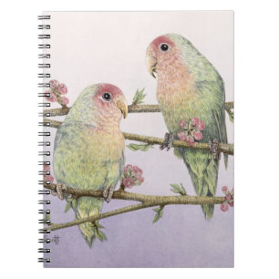 Cuaderno Pájaros del amor