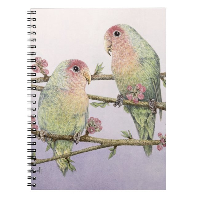 Cuaderno Pájaros del amor (Frente)