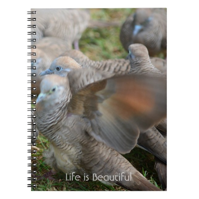 Cuaderno Pájaros Grises Kauai (mi fotografía) (Frente)