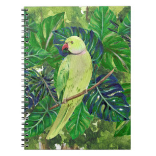 Cuaderno pájaros , loros