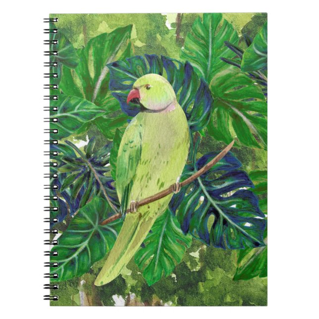 Cuaderno pájaros , loros (Frente)