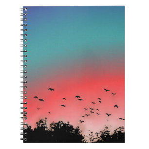Cuaderno Pájaros que vuelan arriba