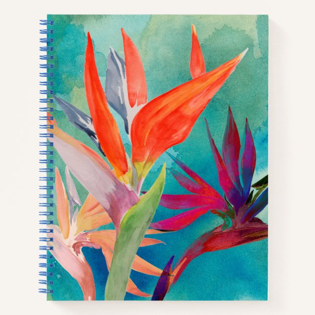 Cuaderno Pájaros vivos del paraíso (Anverso)