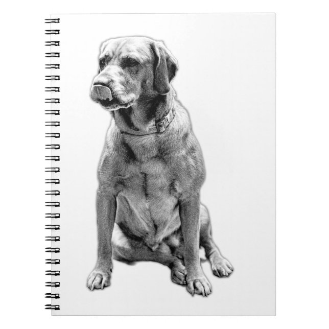 Cuaderno Palabras vigiladas (Frente)