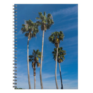 Cuaderno Paletas curvadas altas