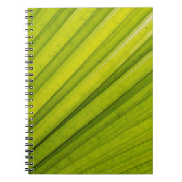 Cuaderno Palm Leaf