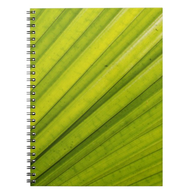 Cuaderno Palm Leaf (Frente)