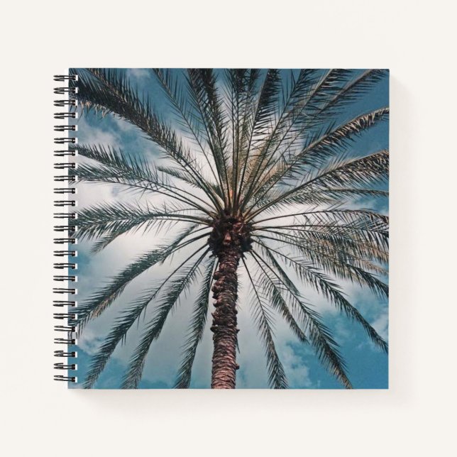 Cuaderno Palm tree - (Anverso)