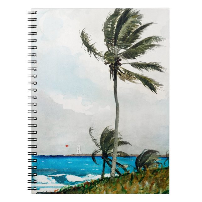 Cuaderno Palm Tree, Nassau (1898) de Winslow Homer (Frente)
