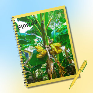 Cuaderno Palm Tree Tropical Banana St Augustine Florida