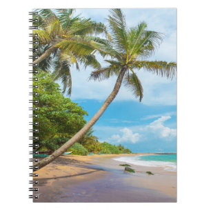 Cuaderno Palma de coco, playa el Sri Lanka de Mirissa