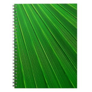 Cuaderno Palma verde de fondo vegetal de hoja