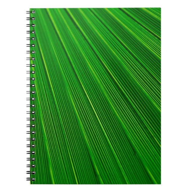 Cuaderno Palma verde de fondo vegetal de hoja (Frente)