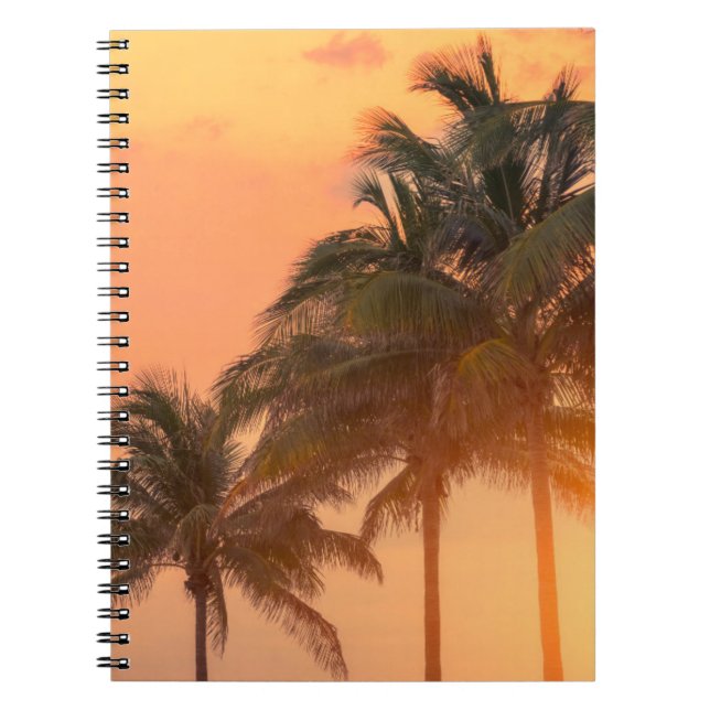 Cuaderno Palmas de Miami (Frente)