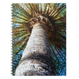 Cuaderno Palmera