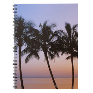 Cuaderno Palmera, mañana