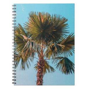 Cuaderno Palmera verde